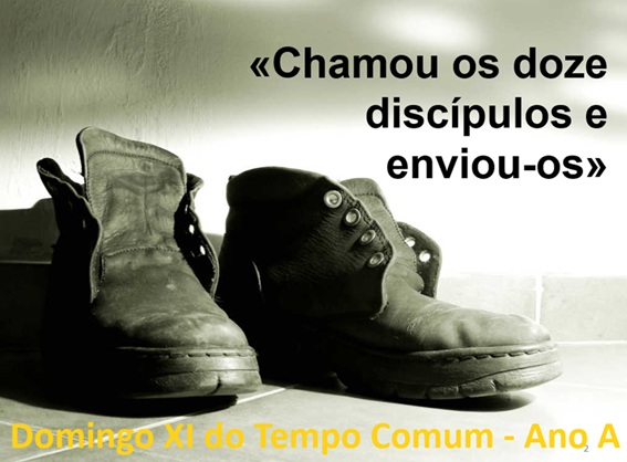 XI_comum