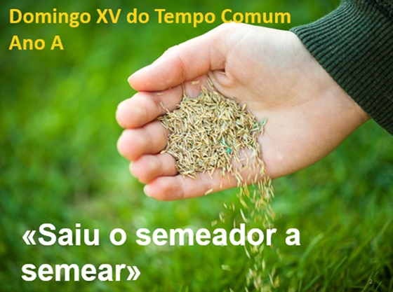 XV
