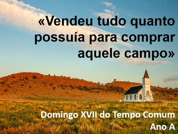 xvii