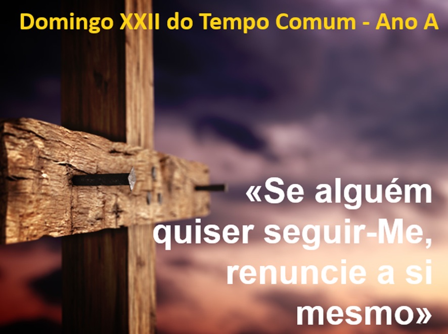 xxii