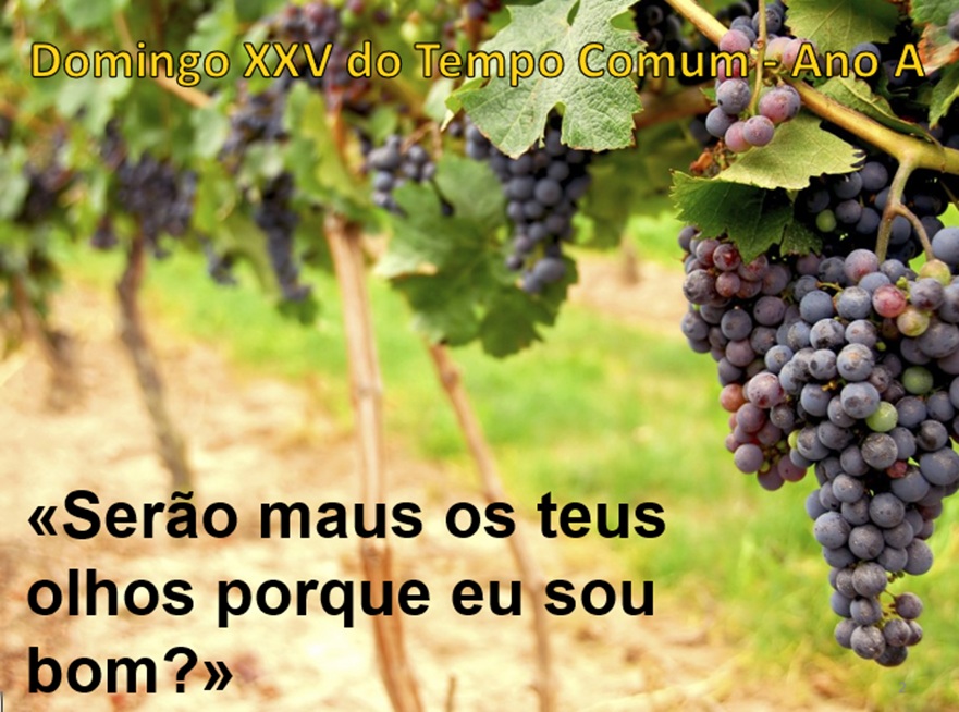 xxv